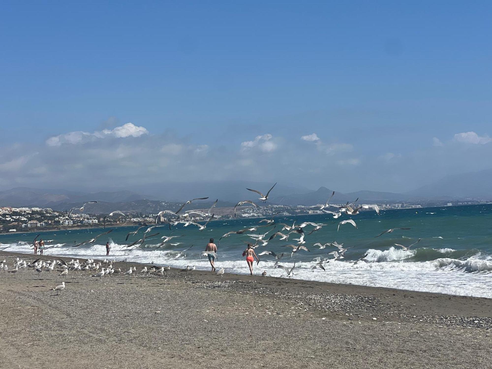 Puerto De La Duquesa Apartment Manilva Ngoại thất bức ảnh